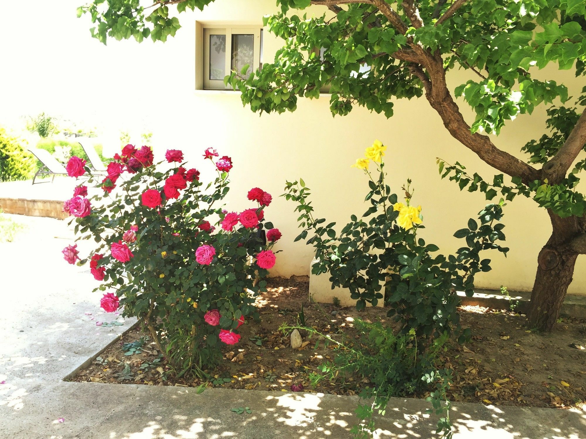 Himonas Apartments Pissouri Eksteriør billede